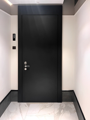 Дверь с покраской по RAL